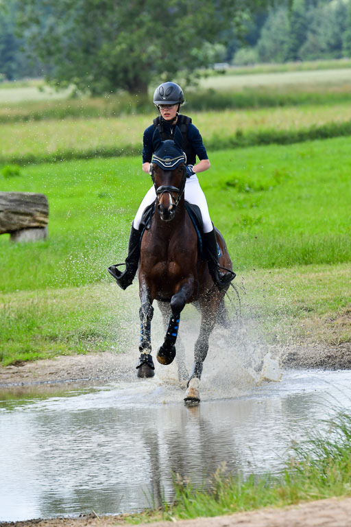 Goldene Schärpe Pferde  in Löningen  11+12.6.22 | 11062022 - Gelände 376 Abt 