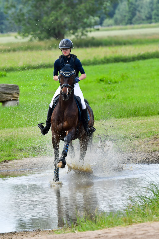 Goldene Schärpe Pferde  in Löningen  11+12.6.22 | 11062022 - Gelände 377 Abt 