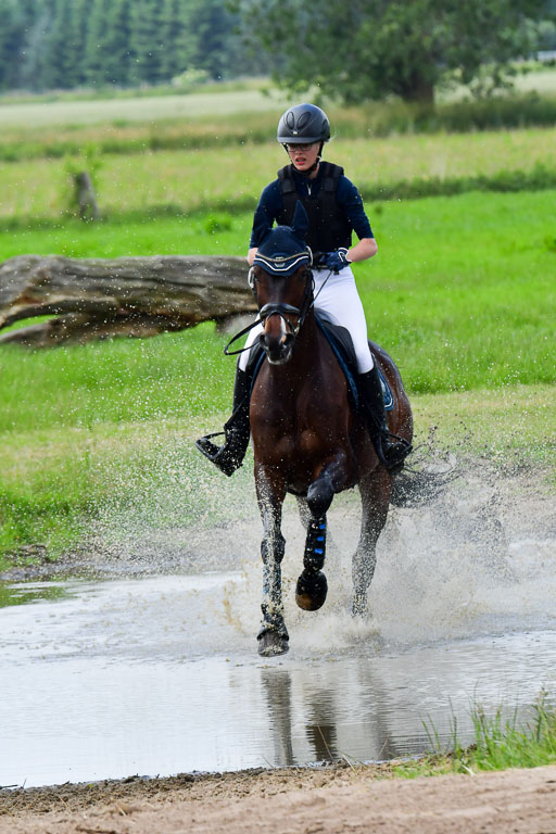 Goldene Schärpe Pferde  in Löningen  11+12.6.22 | 11062022 - Gelände 378 Abt 