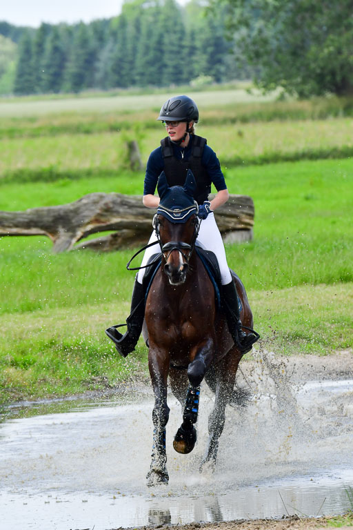 Goldene Schärpe Pferde  in Löningen  11+12.6.22 | 11062022 - Gelände 380 Abt 