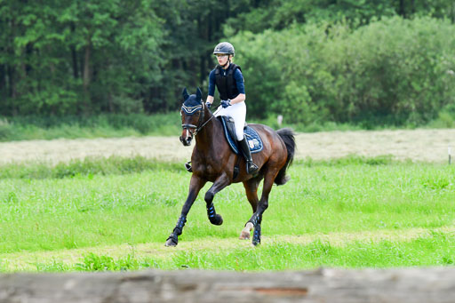 Goldene Schärpe Pferde  in Löningen  11+12.6.22 | 11062022 - Gelände 383 Abt 