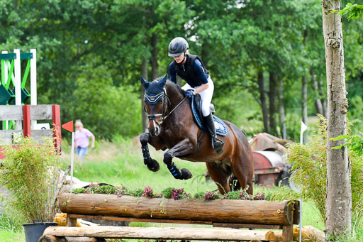 Goldene Schärpe Pferde  in Löningen  11+12.6.22 | 11062022 - Gelände 384 Abt 