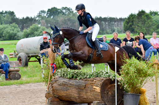 Goldene Schärpe Pferde  in Löningen  11+12.6.22 | 11062022 - Gelände 388 Abt 