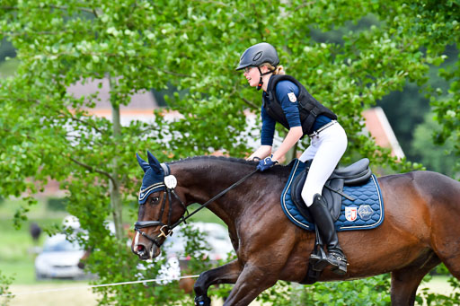 Goldene Schärpe Pferde  in Löningen  11+12.6.22 | 11062022 - Gelände 390 Abt 