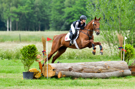 Goldene Schärpe Pferde  in Löningen  11+12.6.22 | 11062022 - Gelände 391 Abt 