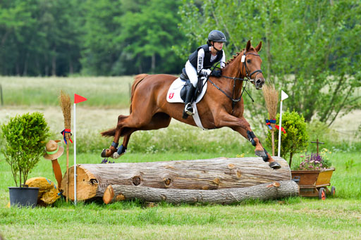 Goldene Schärpe Pferde  in Löningen  11+12.6.22 | 11062022 - Gelände 392 Abt 