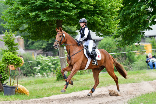 Goldene Schärpe Pferde  in Löningen  11+12.6.22 | 11062022 - Gelände 397 Abt 
