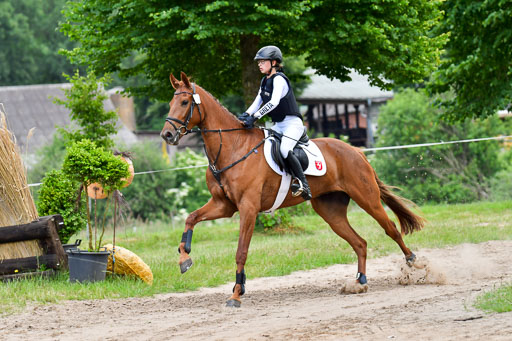 Goldene Schärpe Pferde  in Löningen  11+12.6.22 | 11062022 - Gelände 398 Abt 