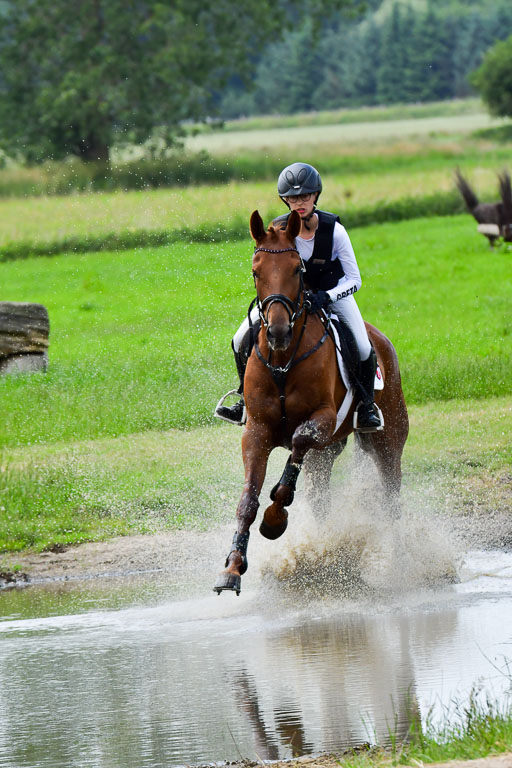 Goldene Schärpe Pferde  in Löningen  11+12.6.22 | 11062022 - Gelände 401 Abt 
