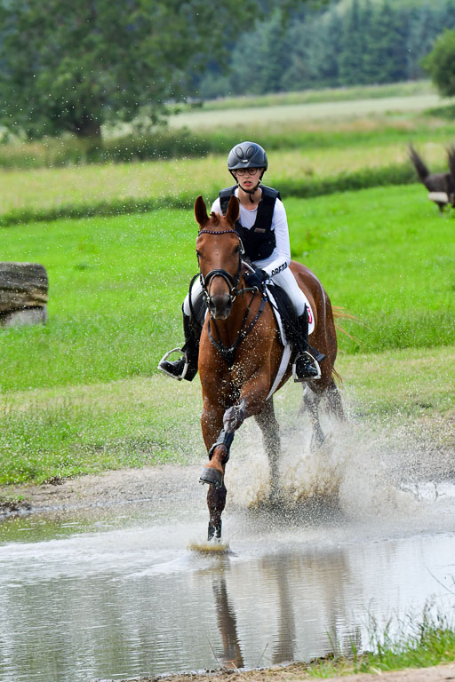 Goldene Schärpe Pferde  in Löningen  11+12.6.22 | 11062022 - Gelände 402 Abt 