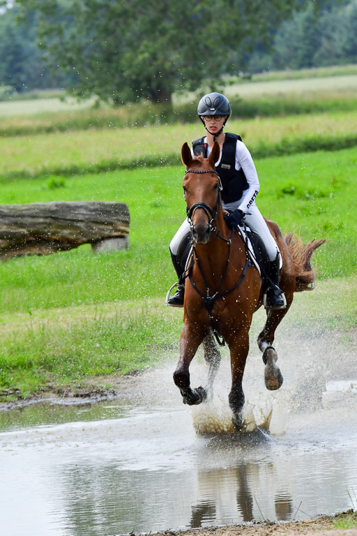 Goldene Schärpe Pferde  in Löningen  11+12.6.22 | 11062022 - Gelände 405 Abt 