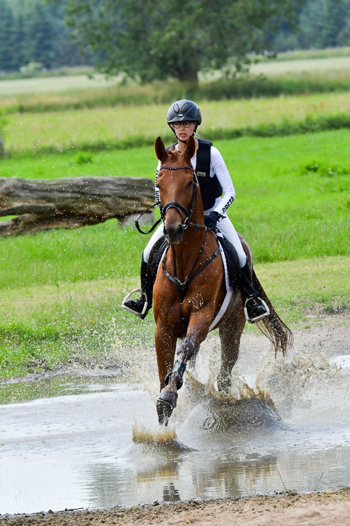 Goldene Schärpe Pferde  in Löningen  11+12.6.22 | 11062022 - Gelände 408 Abt 