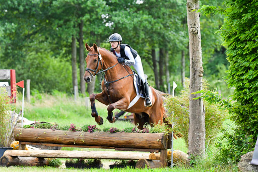 Goldene Schärpe Pferde  in Löningen  11+12.6.22 | 11062022 - Gelände 411 Abt 