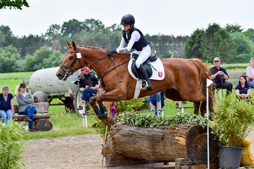 Goldene Schärpe Pferde  in Löningen  11+12.6.22 | 11062022 - Gelände 416 Abt 
