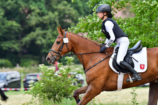 Goldene Schärpe Pferde  in Löningen  11+12.6.22 | 11062022 - Gelände 420 Abt 
