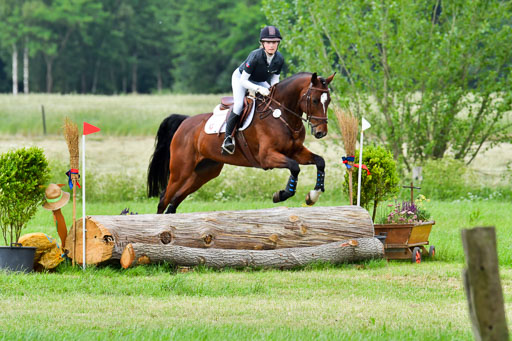 Goldene Schärpe Pferde  in Löningen  11+12.6.22 | 11062022 - Gelände 421 Abt 