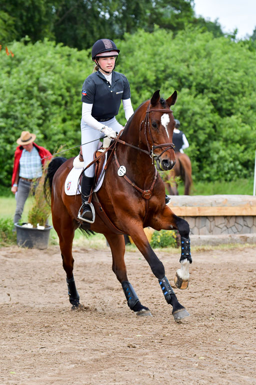 Goldene Schärpe Pferde  in Löningen  11+12.6.22 | 11062022 - Gelände 423 Abt 
