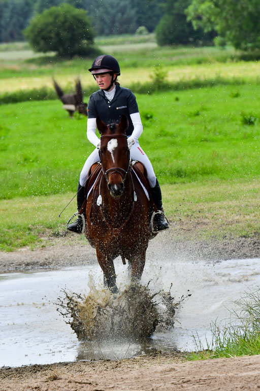 Goldene Schärpe Pferde  in Löningen  11+12.6.22 | 11062022 - Gelände 427 Abt 