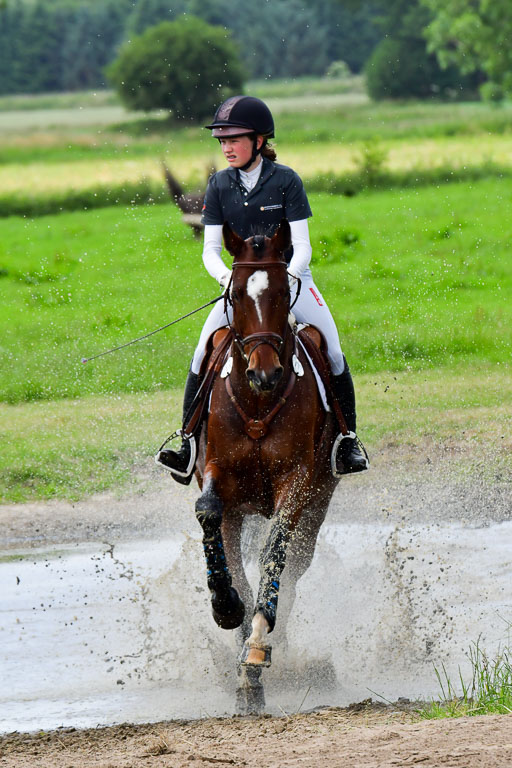 Goldene Schärpe Pferde  in Löningen  11+12.6.22 | 11062022 - Gelände 428 Abt 