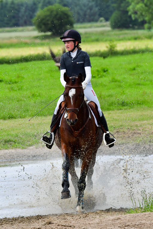 Goldene Schärpe Pferde  in Löningen  11+12.6.22 | 11062022 - Gelände 429 Abt 