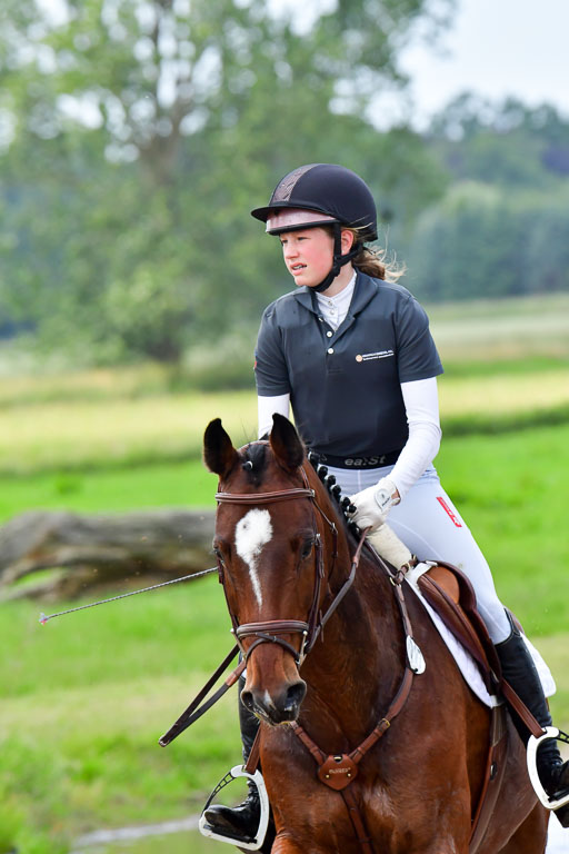 Goldene Schärpe Pferde  in Löningen  11+12.6.22 | 11062022 - Gelände 430 Abt 