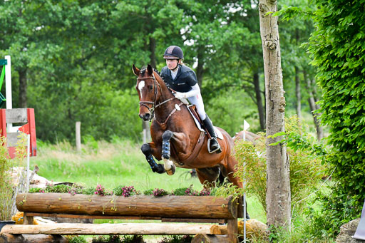 Goldene Schärpe Pferde  in Löningen  11+12.6.22 | 11062022 - Gelände 432 Abt 