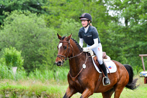 Goldene Schärpe Pferde  in Löningen  11+12.6.22 | 11062022 - Gelände 435 Abt 