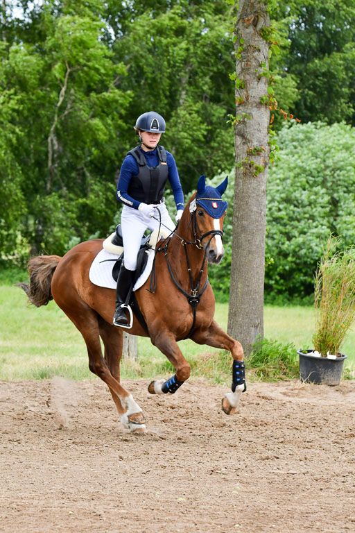 Goldene Schärpe Pferde  in Löningen  11+12.6.22 | 11062022 - Gelände 443 Abt 