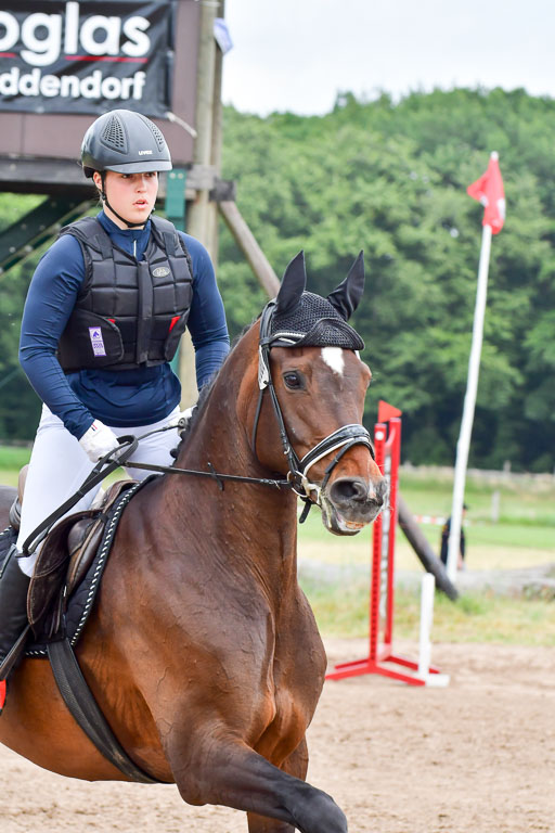 Goldene Schärpe Pferde  in Löningen  11+12.6.22 | 11062022 - Gelände 447 Abt 