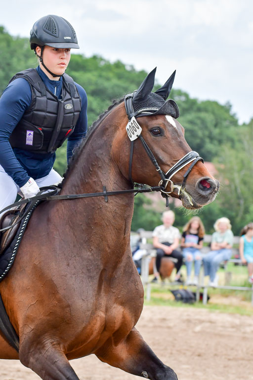 Goldene Schärpe Pferde  in Löningen  11+12.6.22 | 11062022 - Gelände 448 Abt 