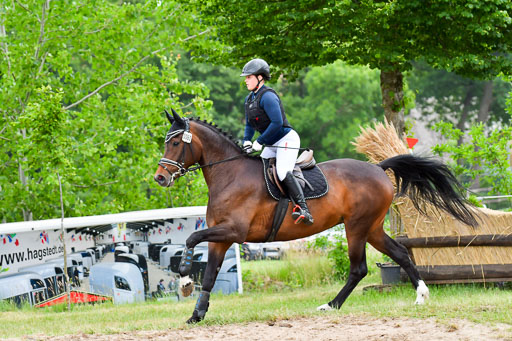 Goldene Schärpe Pferde  in Löningen  11+12.6.22 | 11062022 - Gelände 451 Abt 