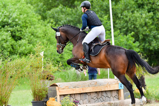 Goldene Schärpe Pferde  in Löningen  11+12.6.22 | 11062022 - Gelände 452 Abt 