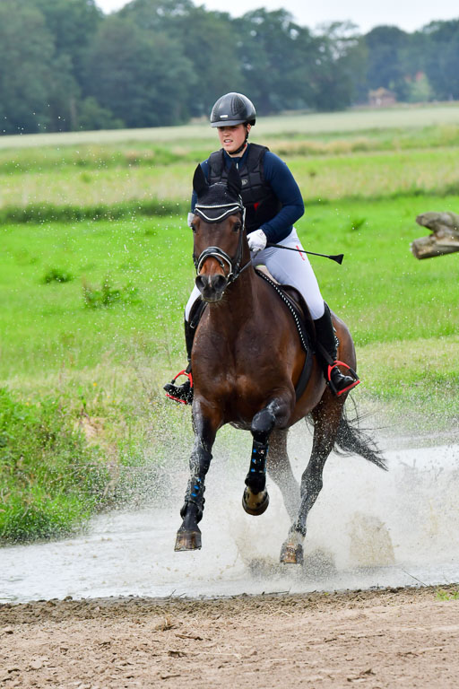 Goldene Schärpe Pferde  in Löningen  11+12.6.22 | 11062022 - Gelände 455 Abt 