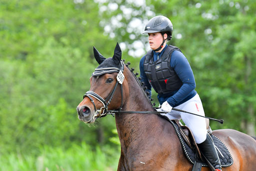 Goldene Schärpe Pferde  in Löningen  11+12.6.22 | 11062022 - Gelände 459 Abt 