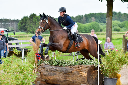 Goldene Schärpe Pferde  in Löningen  11+12.6.22 | 11062022 - Gelände 462 Abt 