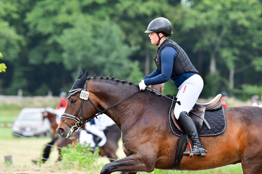 Goldene Schärpe Pferde  in Löningen  11+12.6.22 | 11062022 - Gelände 465 Abt 