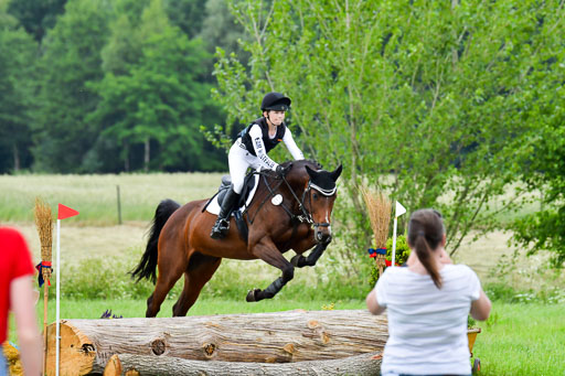Goldene Schärpe Pferde  in Löningen  11+12.6.22 | 11062022 - Gelände 466 Abt 