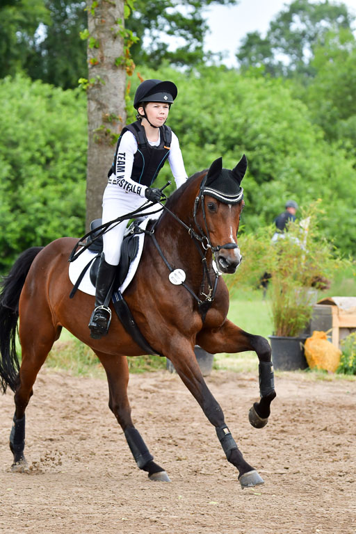Goldene Schärpe Pferde  in Löningen  11+12.6.22 | 11062022 - Gelände 467 Abt 