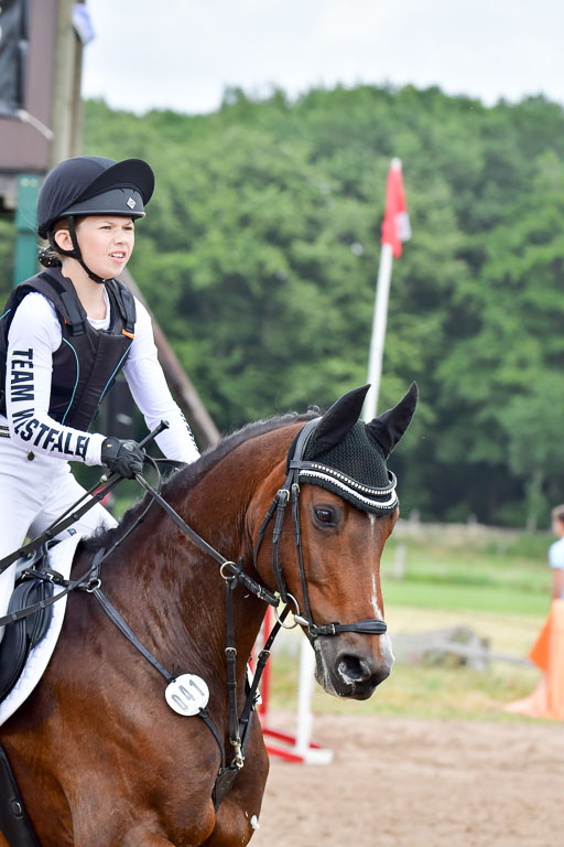 Goldene Schärpe Pferde  in Löningen  11+12.6.22 | 11062022 - Gelände 468 Abt 
