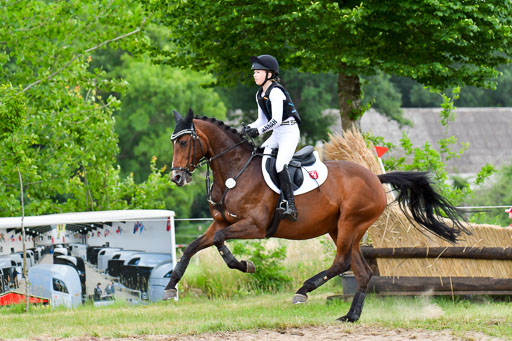 Goldene Schärpe Pferde  in Löningen  11+12.6.22 | 11062022 - Gelände 470 Abt 
