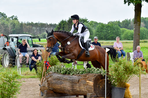 Goldene Schärpe Pferde  in Löningen  11+12.6.22 | 11062022 - Gelände 482 Abt 
