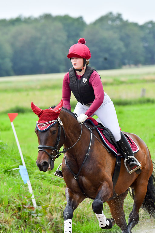 Goldene Schärpe Pferde  in Löningen  11+12.6.22 | 11062022 - Gelände 494 Abt 