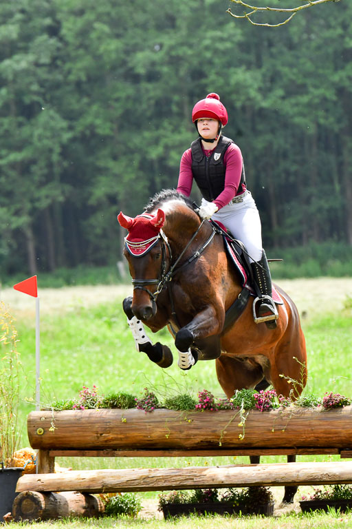 Goldene Schärpe Pferde  in Löningen  11+12.6.22 | 11062022 - Gelände 496 Abt 