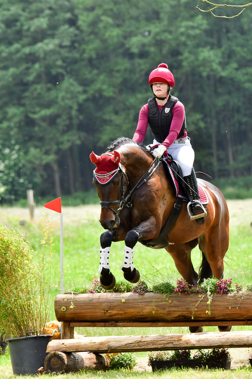 Goldene Schärpe Pferde  in Löningen  11+12.6.22 | 11062022 - Gelände 497 Abt 