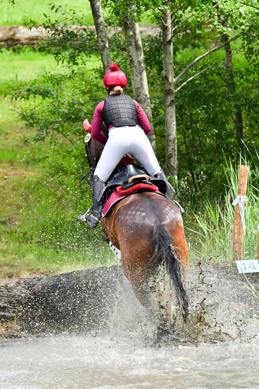 Goldene Schärpe Pferde  in Löningen  11+12.6.22 | 11062022 - Gelände 501 Abt 