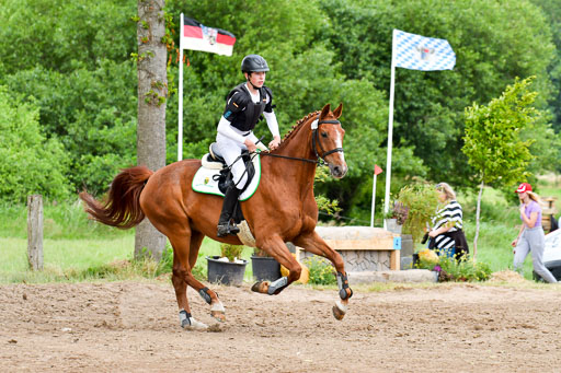 Goldene Schärpe Pferde  in Löningen  11+12.6.22 | 11062022 - Gelände 502 Abt 