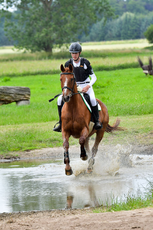 Goldene Schärpe Pferde  in Löningen  11+12.6.22 | 11062022 - Gelände 507 Abt 