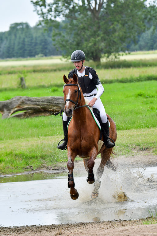 Goldene Schärpe Pferde  in Löningen  11+12.6.22 | 11062022 - Gelände 509 Abt 