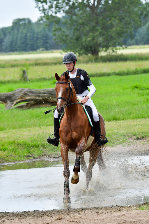 Goldene Schärpe Pferde  in Löningen  11+12.6.22 | 11062022 - Gelände 510 Abt 