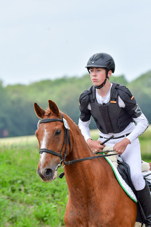 Goldene Schärpe Pferde  in Löningen  11+12.6.22 | 11062022 - Gelände 512 Abt 